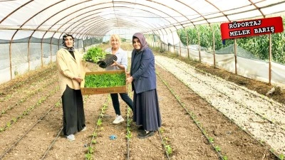 KADIN ELİYLE YEŞEREN TOPRAKLAR