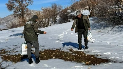 YABAN HAYVANLARI UNUTULMADI