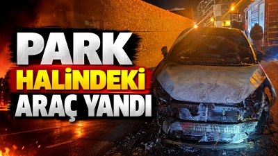PARK HALİNDEKİ ARA&Ccedil; YANDI