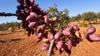 MİLYONLUK DESTEK KIRSALA NEFES OLDU