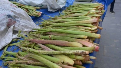 TEZG&Acirc;HLARA &Ccedil;IKTI: KİLOSU 350 TL