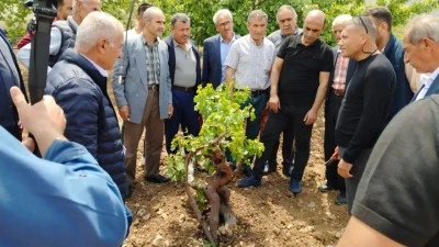 ÇİFTÇİLERE MODERN BAĞCILIK EĞİTİMİ
