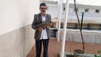 CAMİ AVLUSUNDA YARALI MİSAFİR