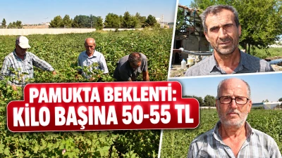 PAMUKTA BEKLENTİ: KİLO BAŞINA 50-55 TL
