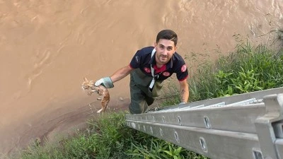 İLUH DERESİ’NE DÜŞEN KEDİ KURTARILDI