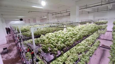 TOPRAKSIZ TARIMDA DEV ADIM: BATMAN’DA YÜZDE 95 SU TASARRUFU