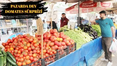 DOMATESE BAKAN BİR DAHA BAKTI