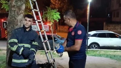 MAHSUR KALAN KEDİ KURTARILDI