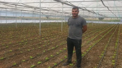 DAMLAMA SULAMA SİSTEMİ VERİMİ ARTIRIYOR