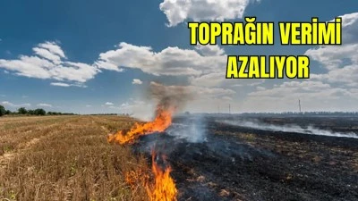 SICAKLAR BAŞLADI, ANIZ YANGINI TEHLİKESİ KAPIDA