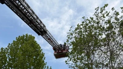 YUVADAN D&Uuml;ŞEN YAVRU KARGAYI İTFAİYE KURTARDI 