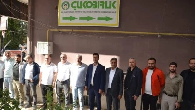 PAMUK ÖN ALIM FİYATI 31 LİRA OLARAK BELİRLENDİ