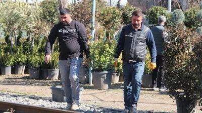 MEYVE FİDANI DİKİM SEZONU BAŞLADI