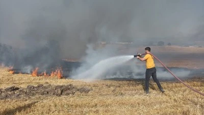METEOROLOJİDEN GÜNEYDOĞU İÇİN ORMAN YANGINI RİSK UYARISI
