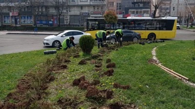 BATMAN BAHARIN RENKLERİYLE CANLANIYOR