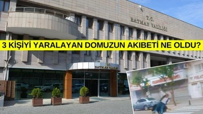VALİLİKTEN &ldquo;YABAN DOMUZU&rdquo; A&Ccedil;IKLAMASI