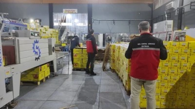 272 GIDA İŞLETMESİNE DENETİM