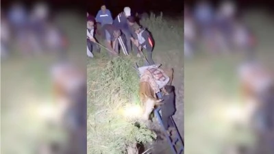 ÇUKURA DÜŞEN İNEĞİ KÖYLÜLER KURTARDI
