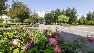 SICAKLIKLAR MEVSİM NORMALLERİNİN ÜZERİNDE