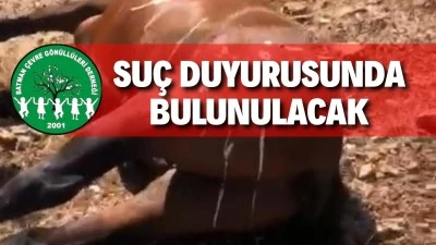 RAMAN DAĞI’NDAKİ VAHŞETE ÇEVRE GÖNÜLLÜLERİNDEN TEPKİ