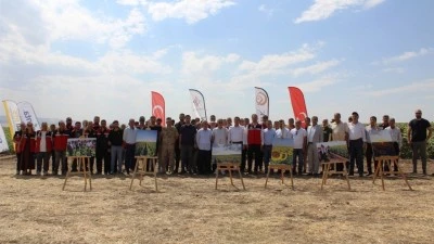 762 DEKARLIK ALANDA AYÇİÇEĞİ EKİMİ
