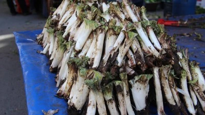 BATMAN&rsquo;IN DAĞLARINDAN SOFRAYA UZANAN ŞİFA