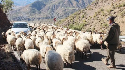 BATMAN &Ouml;NEMLİ BİR &Ccedil;ALIŞTAYA EV SAHİPLİĞİ YAPACAK