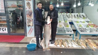 67 KİLOLUK DEV TURNA İLGİ ODAĞI