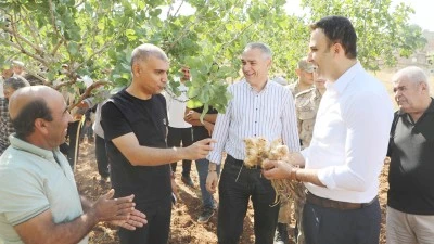 İMRAK, MEHİNA SARIMSAĞI HASADIYLA VEDA ETTİ