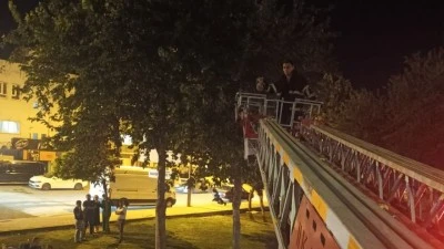 MAHSUR KALAN KEDİYİ İTFAYE KURTARDI