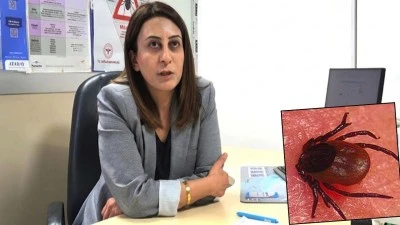 KENE TEMASLARINDA DİKKATLİ OLUNMALI