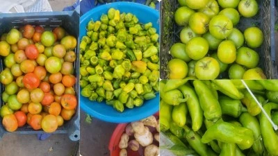 KIŞA GİRMEDEN SON MAHSULLER PAZARDA YERİNİ ALIYOR