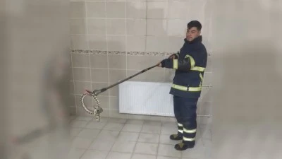 REKT&Ouml;RL&Uuml;K BİNASINDA YILAN PANİĞİ