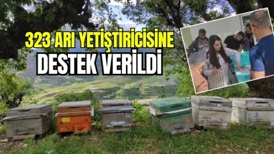 ARICILARA 'ANA ARI' DESTEĞİ