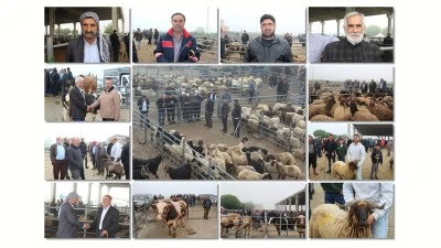 HAYVAN BORSASI'NDA BAYRAM HAREKETLİLİĞİ!
