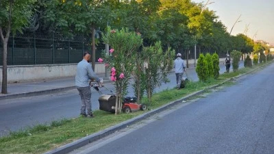 85 DÖNÜMLÜK PARK ALANINDA BAKIM