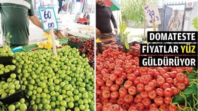 PAZARDA ERİK HALA EL YAKIYOR
