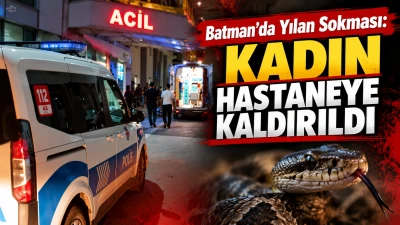 BATMAN&rsquo;DA YILAN SOKMASI: KADIN HASTANEYE KALDIRILDI