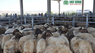 UMUT KERVANI&rsquo;NDAN HAYIRSEVERLERE VEKALET &Ccedil;AĞRISI