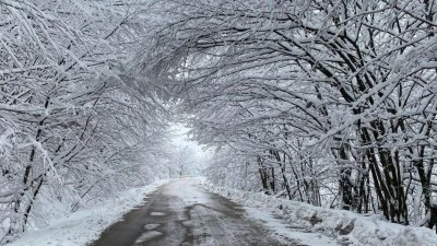 YAĞIŞLI VE SERİN HAVA