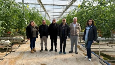 SERA OSB'DE TOPRAKSIZ TARIM D&Ouml;NEMİ BAŞLADI