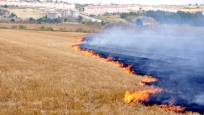 ARI: TOPRAK YANIYOR, GELECEĞİMİZ TEHLİKEDE