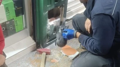 KOLON BOŞLUĞUNA DÜŞEN YAVRU KEDİLER KURTARILDI