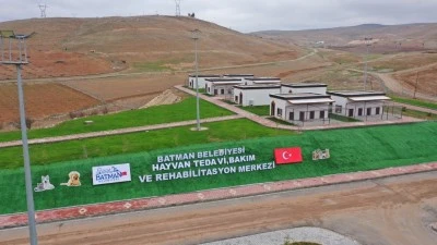  2.512 SAHİPSİZ HAYVAN KORUMA ALTINDA 