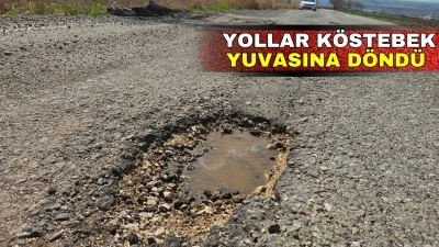 K&Ouml;Y YOLLARI K&Ouml;STEBEK YUVASINA D&Ouml;ND&Uuml;!