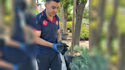 SIKIŞAN KEDİYİ İTFAİYE EKİPLERİ KURTARDI