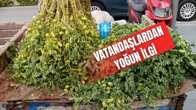 YEŞİL NOHUT TEZGAHLARDA YERİNİ ALDI