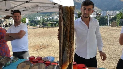 AĞA&Ccedil; KOVUKLARINDAN &Ccedil;IKIYOR, KİLOSU 15 BİN LİRAYA SATILIYOR