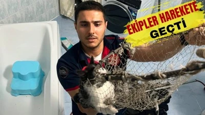 BOŞLUKTA SIKIŞTI, EKİPLER SEFERBER OLDU