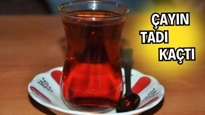 ÇAY KEYFİ CEP YAKIYOR